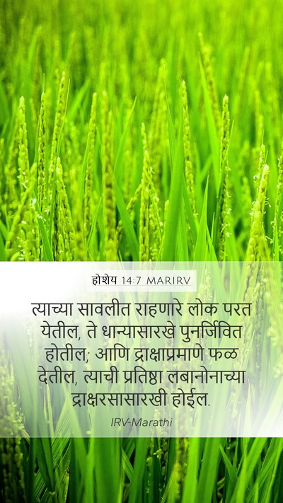 होशेय 14:7 MARIRV Bible Verse Image