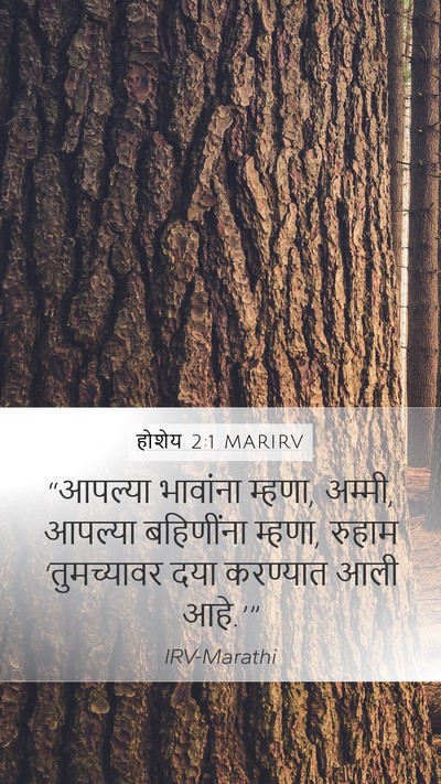 होशेय 2:1 MARIRV Mobile Phone Wallpaper - “आपल्या भावांना - Mobile Bible Verse Wallpaper