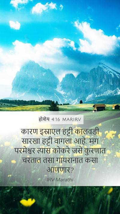 होशेय 4:16 MARIRV Bible Verse Image
