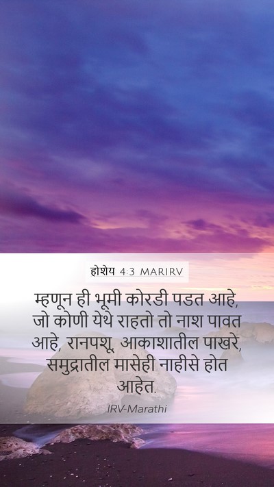 होशेय 4:3 MARIRV Bible Verse Image