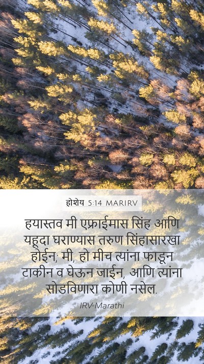 होशेय 5:14 MARIRV Bible Verse Image