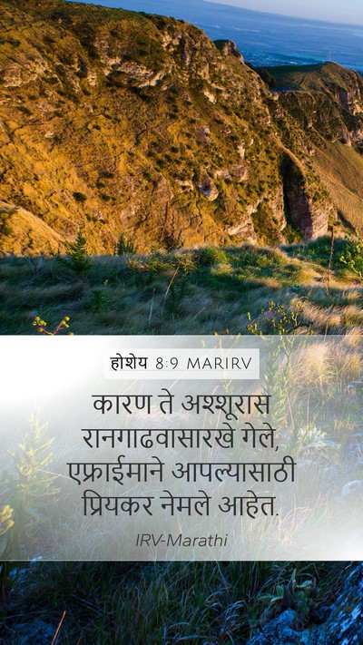 होशेय 8:9 MARIRV Bible Verse Image