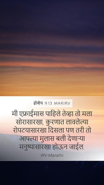 होशेय 9:13 MARIRV Mobile Phone Wallpaper - मी एफ्राईमास - Mobile Bible Verse Wallpaper