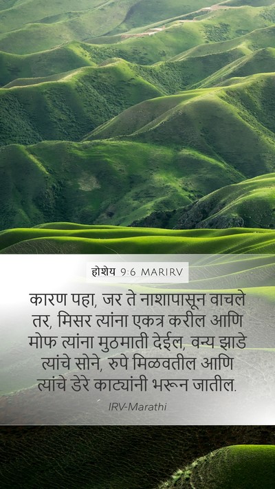 होशेय 9:6 MARIRV Bible Verse Image